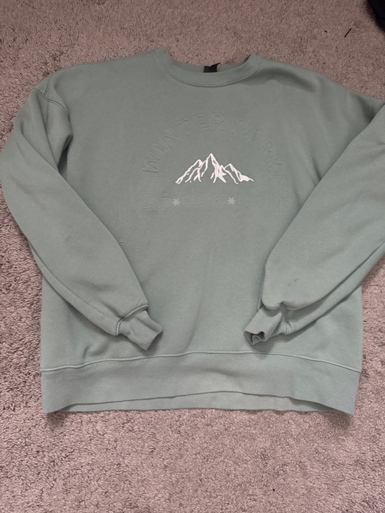 wild fable Sweaters - wild fable Sage Green Mountain Crewneck Sweater
